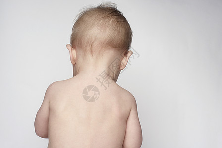 婴儿612个月背视图612个月膀子影棚棕色男孩秃顶头发宝贝图片