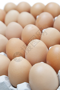 以纸箱包装的棕蛋近身鸡蛋静物食物对象焦点蛋盒托盘健康饮食前景图片