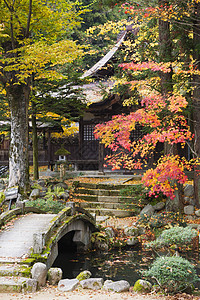 日本高山Hokkeji圣殿花园 带有石桥石头寺庙行人花园文化池塘天桥枫树场景高山图片