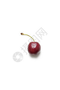 白色背景的单樱桃健康饮食营养对象影棚静物水果生产红色食物食品图片