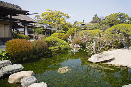 OKama的Korakuen花园园林池塘风景乐园地区旅行绿化设计景观图片