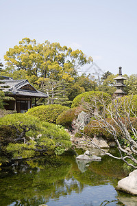 OKama的Korakuen花园绿化景观设计乐园池塘风景园林地区旅行图片