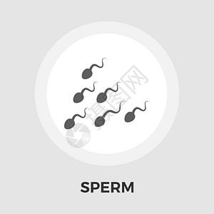 精子矢量平面 ico共轭团体生活蝌蚪性别解剖学电脑诊所施肥考试图片