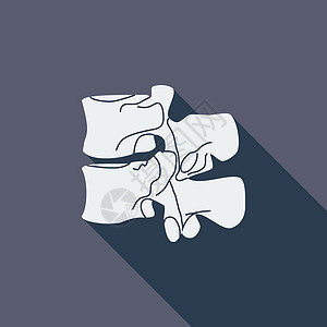 脊椎解剖图标学校生物学背痛腰椎身体脊柱科学项目医疗黑色图片