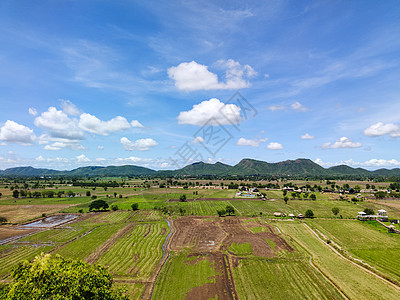 泰国农村美丽的稻田地貌美丽 水稻田景观图片