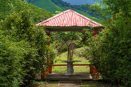 Gazebo 在一个美丽的绿色自然生活之地场景石头环境建筑公园爬坡旅游长椅风景闲暇图片