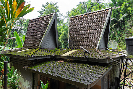 在亚洲丛林中建有高瓦屋顶的小型房屋 这是不寻常的建筑黏土建造木头叶子植物环境地衣模具藻类森林图片