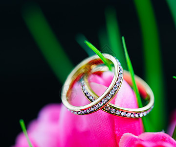 在假粉红色郁金香花中休息的结婚戒指乐队钻戒首饰订婚珠宝婚姻礼物钻石念日宏观图片