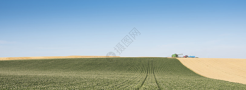 蓝天空下弗朗特兰地以北的农业田地景观模式 其典型近乎抽象的模式蓝色场地马铃薯地平线粮食爬坡全景旅行植物国家图片