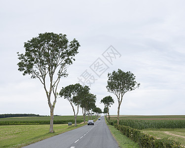 法语北部玉米田之间的乡村公路上的车厢图片