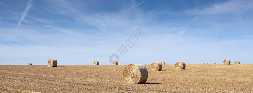 金色田地 在法国以北的蓝天下有草篮收获农业生长干草收成场地谷物国家农村食物图片