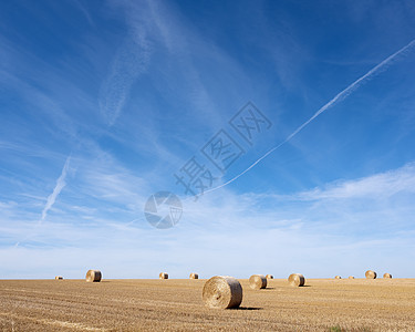 金色田地 在法国以北的蓝天下有草篮谷物圆圈粮食干草蓝色土地季节金子收获农场图片