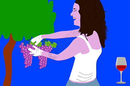 以从葡萄园中摘葡萄的女子为例图片