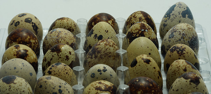 篮子里产的奎尔鸡蛋样性脆弱性生活饮食宏观乡村团体营养早餐鹌鹑图片