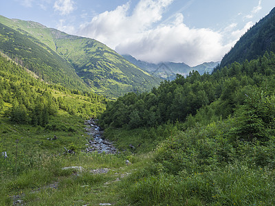 美丽的山景 有溪流溪草 云杉 矮灌木松和山峰 西塔特拉山脉 Rohace 斯洛伐克 夏天 蓝天背景丘陵天空森林自然冒险公园旅行风图片