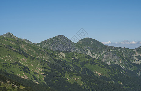 西塔特拉山脉或罗哈斯的山景 从巴拉内克的远足小径可以看到奥斯特罗哈克的两座山峰 锋利的绿草如茵的落基山峰与灌木松和高山花卉草甸 图片