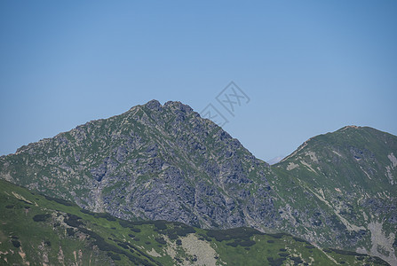 特写两个山峰的视图 锋利的绿草如茵的落基山峰与灌木松和高山花卉草甸 西塔特拉山脉或 Rohace 的山地景观 夏天蓝天背景图片