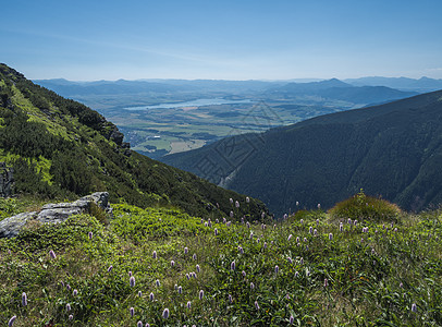 从草地上欣赏山谷和湖 那里有盛开的粉红色车前花 西塔特拉山脉或 Rohace 夏天蓝天背景图片