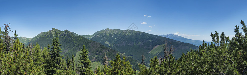 从 Baranec 的 tatra 山径到西部 Tatra 山脉或 Rohace 全景和高 tatras 查看 松树和针叶林山丘图片