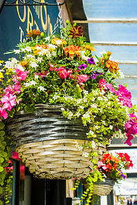 在联合王国南港市大街店外的商店外有彩色花朵展植物粉色绿色展示老爷街销售礼物零售玫瑰店铺图片