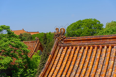 蓝天下中国传统建筑 蓝色天空下楼梯遗产历史寺庙地标城市旅游瓷砖文化王朝图片