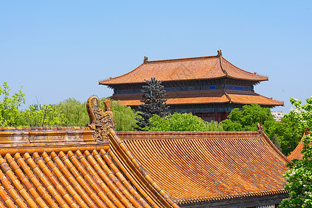 蓝天下中国传统建筑 蓝色天空下城市橙子房子寺庙旅行遗产历史地标瓷砖建筑学图片