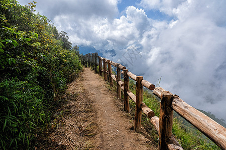 自然足迹行走道路小路环境植物山毛榉公园叶子山脉远足旅行日落图片