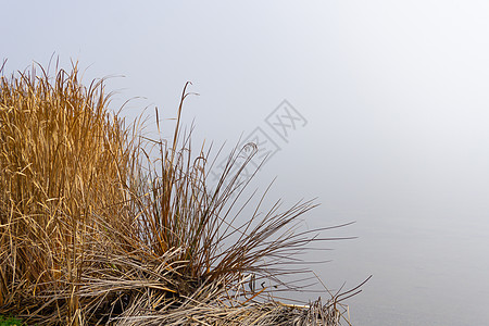 湖边干润泡和的薄雾背景图片