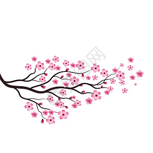 樱花美花矢量 ico季节文化花园新娘庆典叶子婚礼女性植物花瓣图片