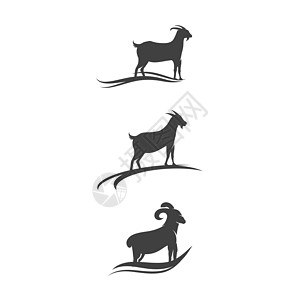 山羊标志模板矢量 ico家畜野生动物艺术农业宠物荒野食物哺乳动物卡通片动物图片