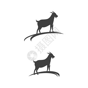 山羊标志模板矢量 ico野生动物农场文化农业生活卡通片喇叭荒野家畜内存图片