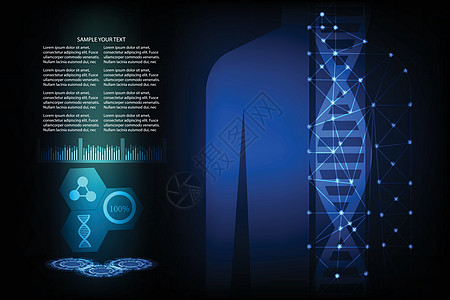 健康医学理论学的理论科学概念 实事求是身体医师展示染色体显示器插图网格基因组界面药品图片