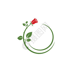 美丽玫瑰花花矢量图标礼物花园商业植物群植物玫瑰插图叶子沙龙婚礼图片