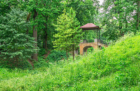 亚历山德里亚公园中国桥 乌克兰比拉采尔克瓦公园胡同旅行小路历史地区植物园凉亭阴影奇观图片