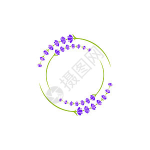 它制作图案薰衣草花矢量图标草本植物标识植物插图疗法叶子温泉香水绘画草药图片