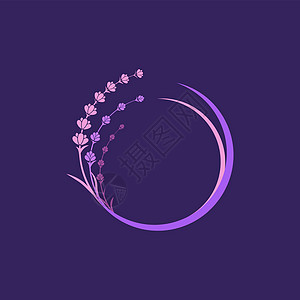 它制作图案薰衣草花矢量图标草本植物紫色疗法绘画植物香水温泉芳香叶子插图图片