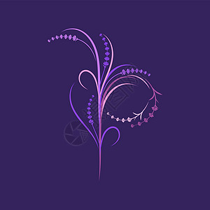 它制作图案薰衣草花矢量图标插图香水紫丁香芳香植物紫色叶子草药植物群花园图片