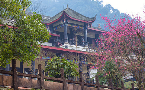 在中国拍摄的佛教寺庙角旅游历史性魅力游客建筑旗帜帝国建筑学宗教地标图片