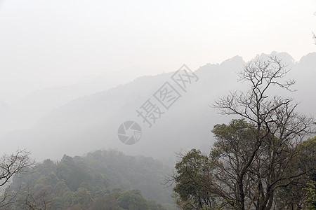 有些树木和大山 在的云中旅行远足悬崖日光岩石爬坡娱乐绿色薄雾顶峰图片