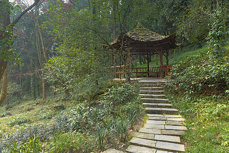 在公园前的楼梯上森林花园绿色自然保护区木头叶子树木树叶娱乐小路图片
