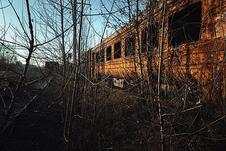 留在外面的被遗弃列车装车货运铁轨铁路运输货物平台旅行火车站森林图片