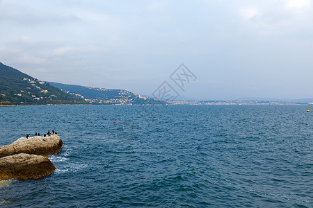 意大利海岸附近蓝海的蓝色海图片