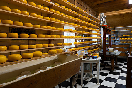 工厂里很多的奶酪农民市场美食生产食物产品制造乳制品工业日记图片
