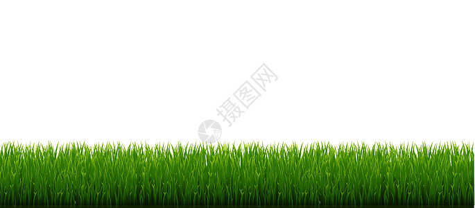 绿草边框和白色背景插图边界花园植物场地花朵横幅生态叶子全景图片