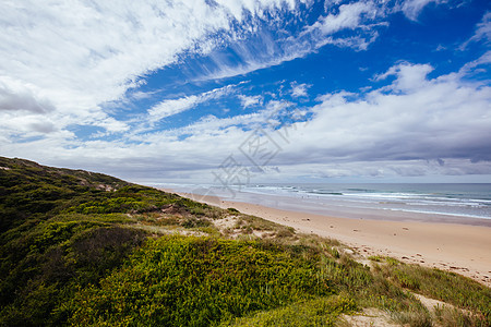 澳大利亚维多利亚州金星湾海滩冲浪岩石晴天地标旅游海岸线海岸假期砂岩侵蚀图片