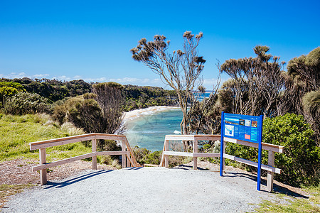 澳大利亚维多利亚州鹰巢滩天空砂岩旅行蓝色冲浪太阳假期旅游楼梯地标图片