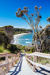 澳大利亚维多利亚州鹰巢滩侵蚀海景太阳旅游海岸海滩海岸线砂岩阳光蓝色图片