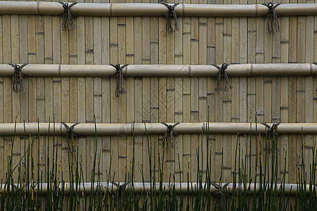 花竹墙围紧 将竹壁分割开来花园栅栏画幅竹子图片