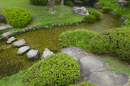 古琦园果子园的河道 日本人绿色曲线人行道花园文化树木植物溪流垫脚禅意背景