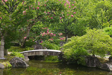 古琦园果子园的石桥横跨溪流行人风景文化树叶天桥场景花园绿色植物树木背景